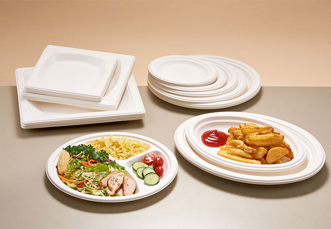 Eco Espetable To Go Going Containers: Бъдещето на устойчивото обслужване на храни